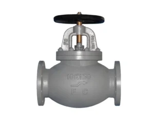NON RETURN VALVE , GLOBE VALVE