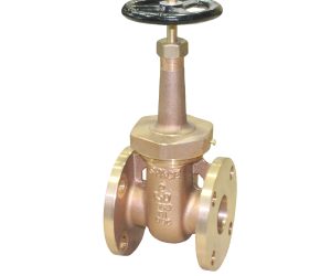 Sant Bronze Gate Valve (Flanged Ends, Class-2)
