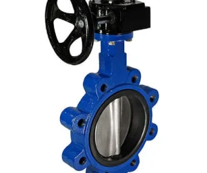 BFY (G) (A) – Butterfly Valve (Gear Operated)