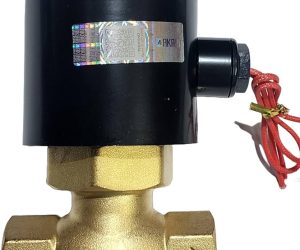 2/2 Servo Operated For Steam Brass Body	1/2