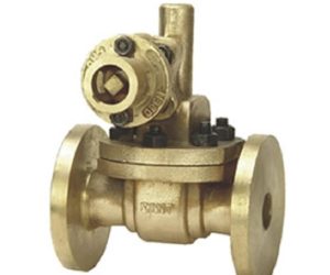 IBR 8 – Bronze Blow Off Cock