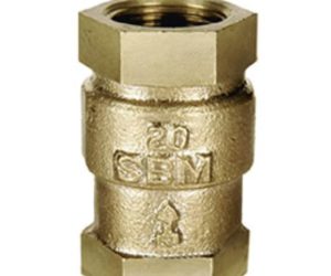 IBR 21 – Bronze Vertical Lift Type Feed Check Valve