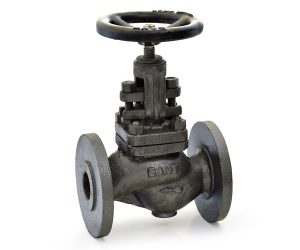 CI 1A – C.I. Globe Valve
