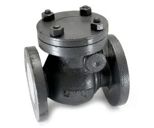 CI 3C – C.I. Swing Check Valve