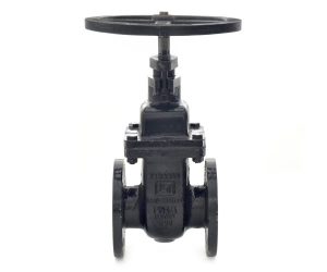 CR 32B – C.I. Wedge Gate Sluice Valve (Inside Screw Non-Rising Stem)