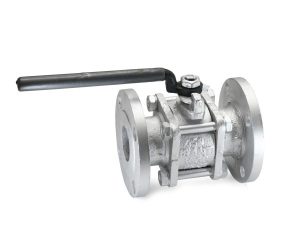 CS 10A – Cast Steel Globe Valve (Class 600)