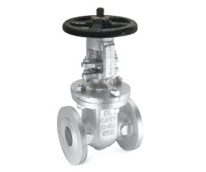CS 7 – Cast Steel Flanged Gate Valve