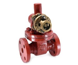 CS 4 – Parallel Slide Blow Off Valve