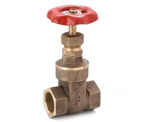 Sant Bronze Gate Valve