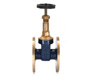Sant Bronze Gate Valve Rising Stem