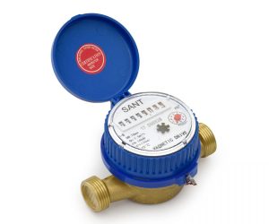 WM 8 – Sant Brass Water Meter