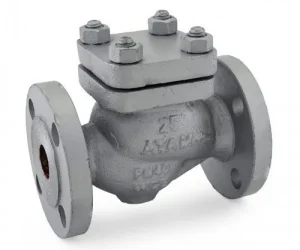 Horizontal Lift Check Valve (Flanged End, Class 1)