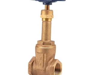 Sant Bronze Gate Valve Rising Stem (Class-2)