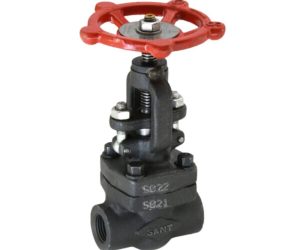 CS 5 – Accessible Feed Check Valve