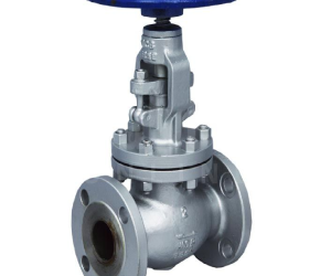 CS 14 – Cast Steel Angle Valve (Class 300)