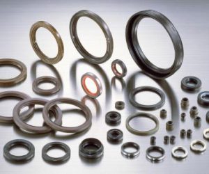 Oil Seal