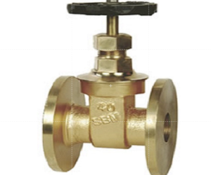 Sant Bronze Gate Valve (Flanged Ends)