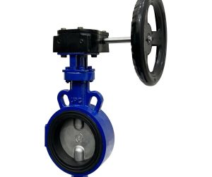 BFY (A) – Butterfly Valve, Replaceable Seat & Disc (Lever Operated)