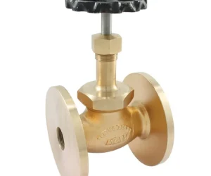 Bronze Globe Valve (Screwed End)