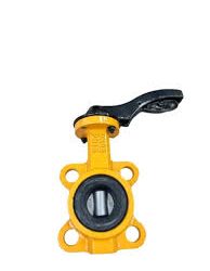 BODY CAST IRON DISC CAST IRON DN50 52 5