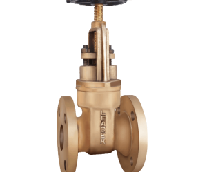 Bronze Gate Valve (Class-1)