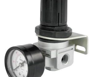 REGULATOR with Gauge	1/4"