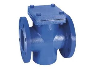 CI 19 – C.I. 'T' Strainer Flanged