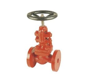 CS 8 – Cast Steel Flanged Globe Valve