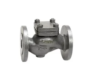 CI 3A – C.I. Horizontal Check Valve