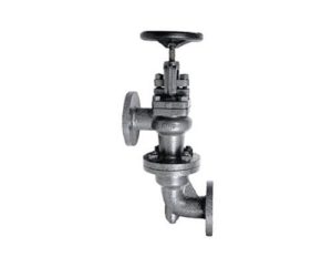 CI 5B – C.I. Accessible Feed Check Valve