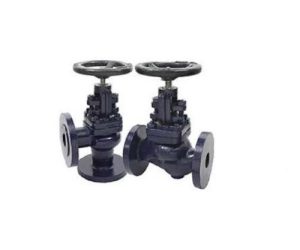 CI 6A – C.I. Stop Cum Non Return Valve