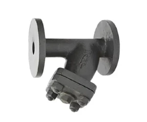 CI 7A – C.I. Y Type Strainer