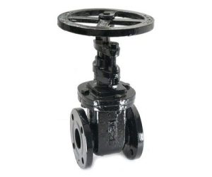 CR 20 – C.I. Wedge Gate Sluice Valve (ISO Top Flange)