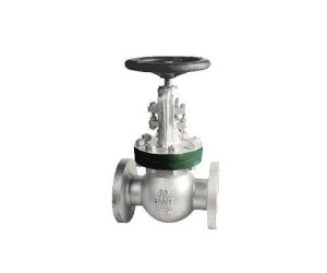 CS 10 – Cast Steel Globe Valve (Class-300)