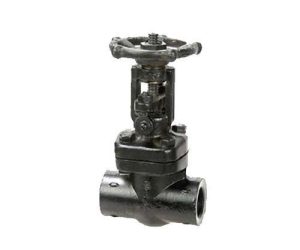 FSV 2A – Forged Steel Globe Valve (Screwed Female NPT)