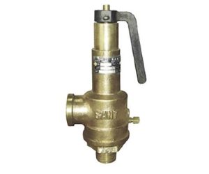 IBR 5 – Bronze Safety Valve