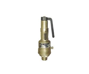 IBR 25 – Bronze Safety Valve (Straight Type)