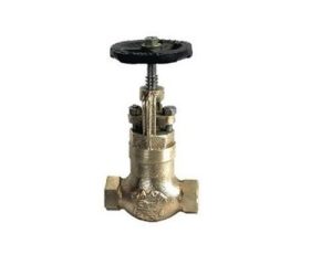 IBR 18 – Sant Bronze Accessible Feed Check Valve