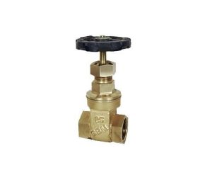 SBM Bronze Gate Valve Flanged (PN 20)
