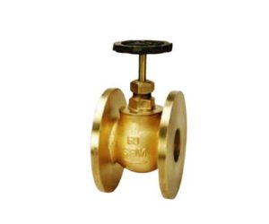 SBM Bronze Globe Valve No. 9