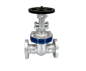 CS 7B – Cast Steel Gate Valve (Class-600)