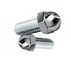 Dome Bolt