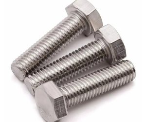 SS Hex Bolt