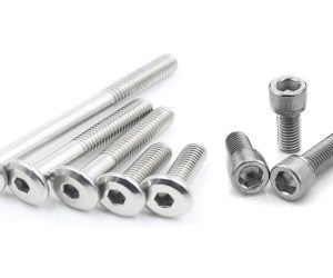 SS allen bolt