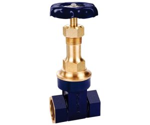 Sant Bronze Gate Valve, Flanged Rising Stem